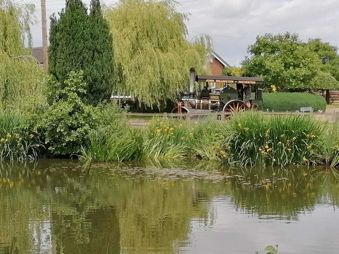 Steam Roller arriving on the green, June 12th